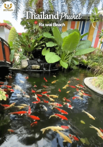 535-bungalow-e6f01fed-a2ac-44a7-a360-22c552028adb.png