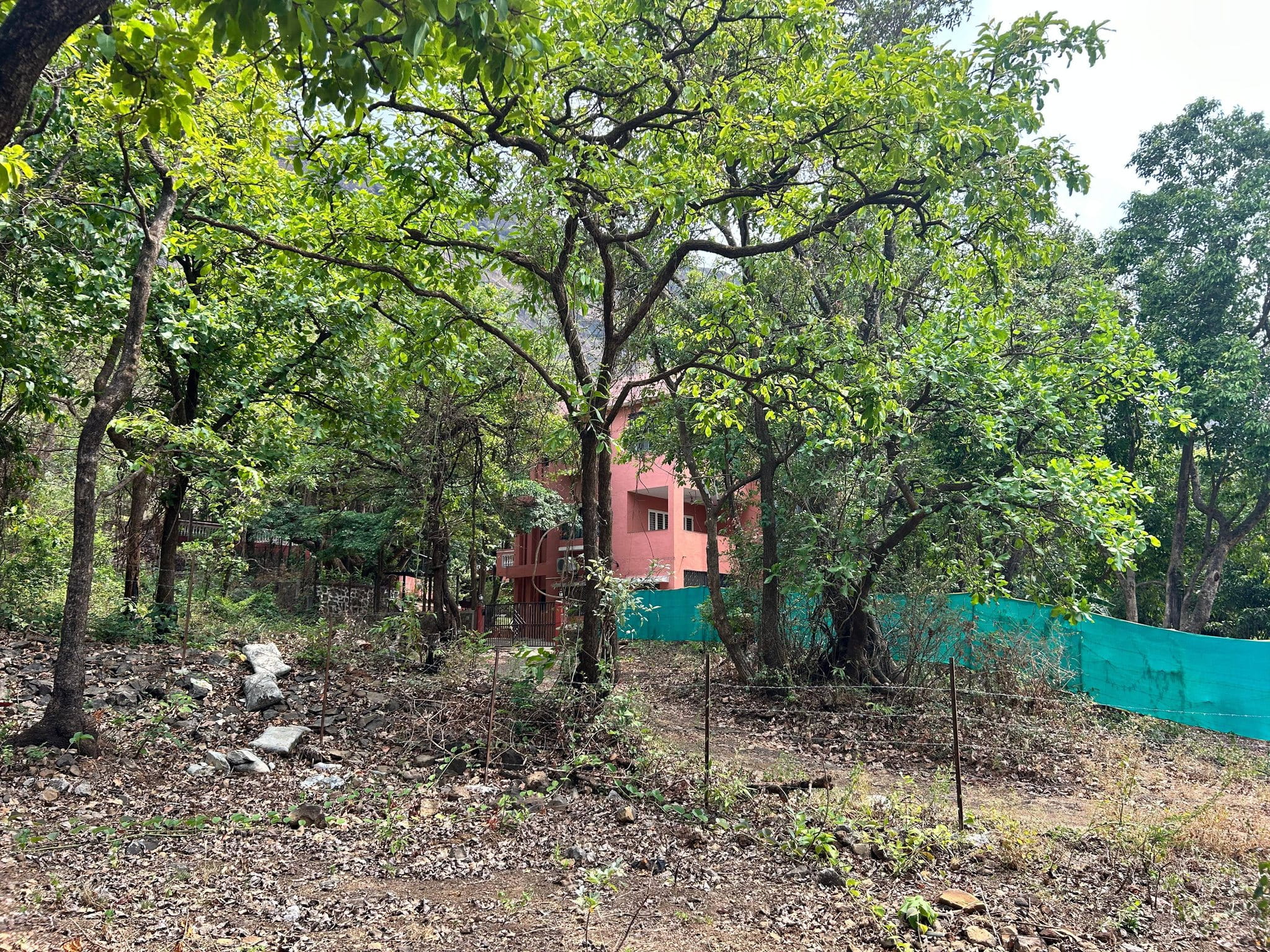 543-farmhouse-plot-975aabd9-e0c3-4356-9853-3d3f7891dabd.jpg