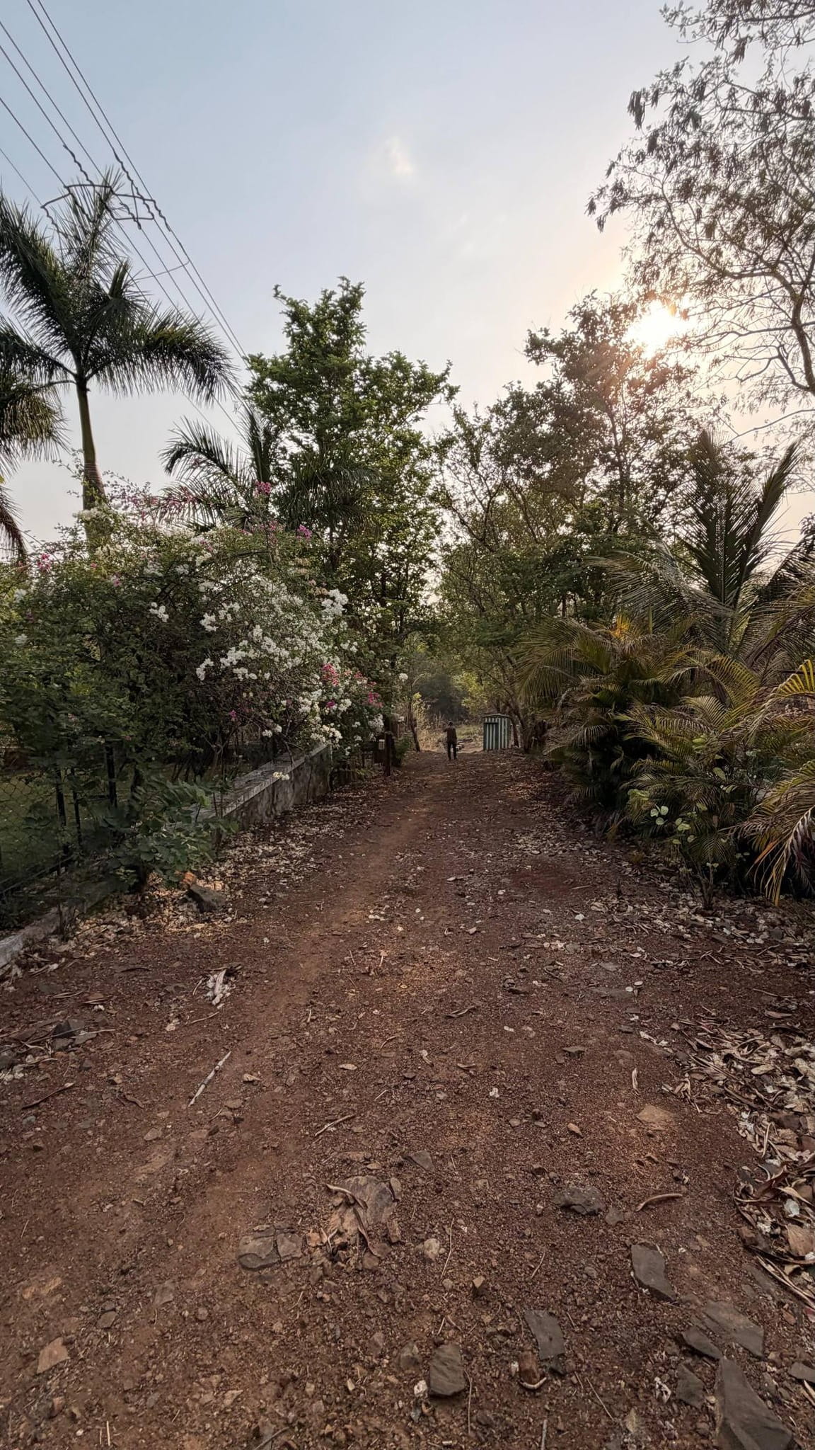 545-farmhouse-plot-31a53dbd-4184-4982-b2a9-dbaa0ddb2722.jpg