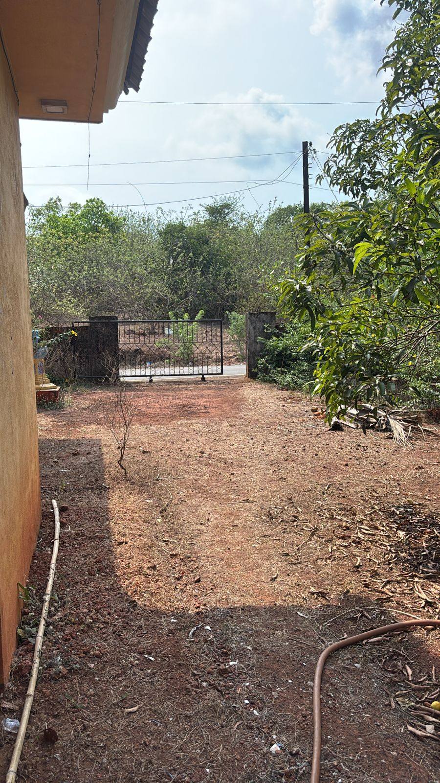 547-agriculture-plot-827dbf65-6a2c-471e-a939-690457887e6f.jpg