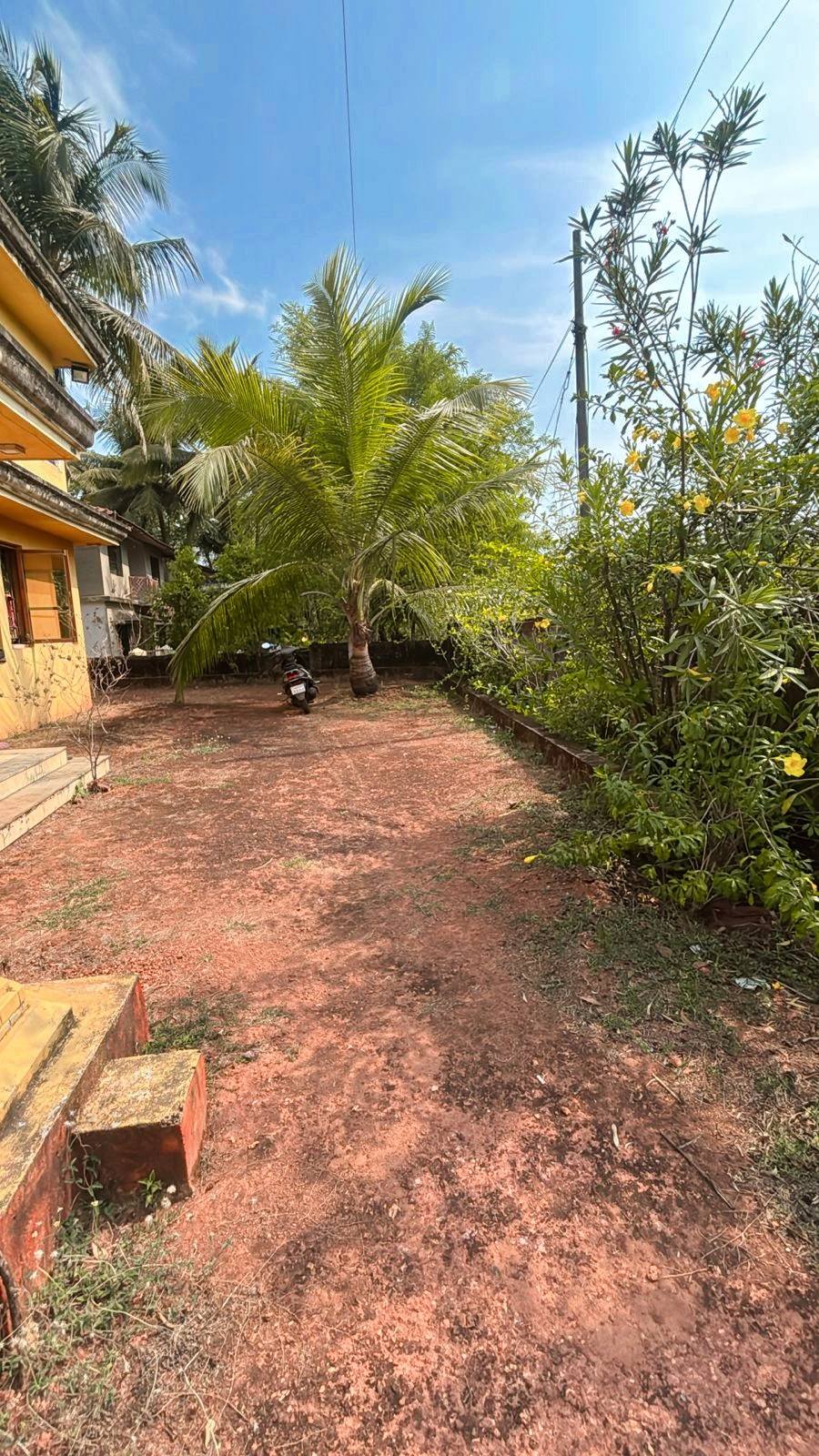 547-agriculture-plot-ce790538-d62a-4274-80dc-6b7672c2eaa2.jpg