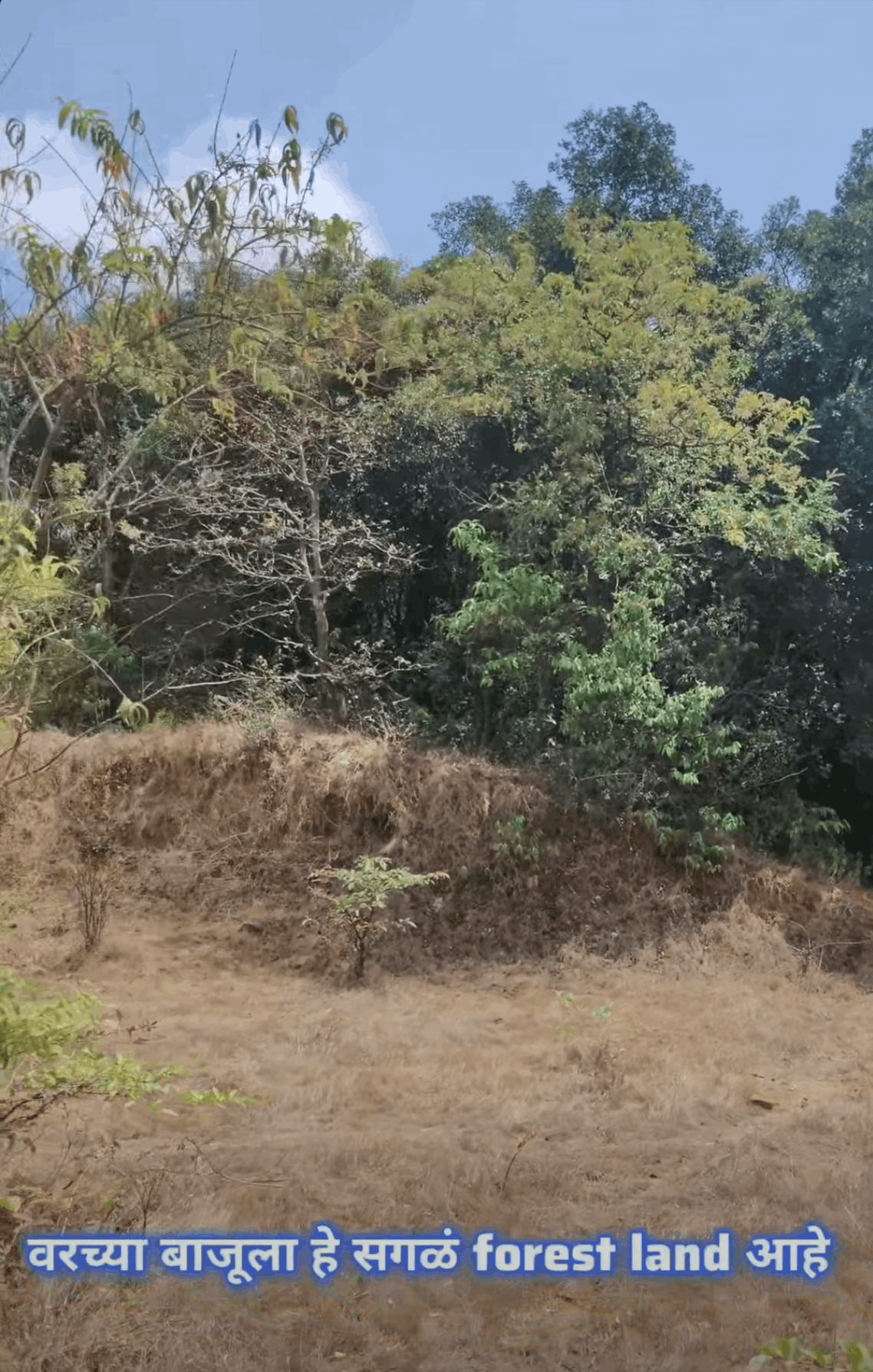 557-agriculture-plot-6f1d45ab-c27d-4459-b78d-fdebfa1732e1.png