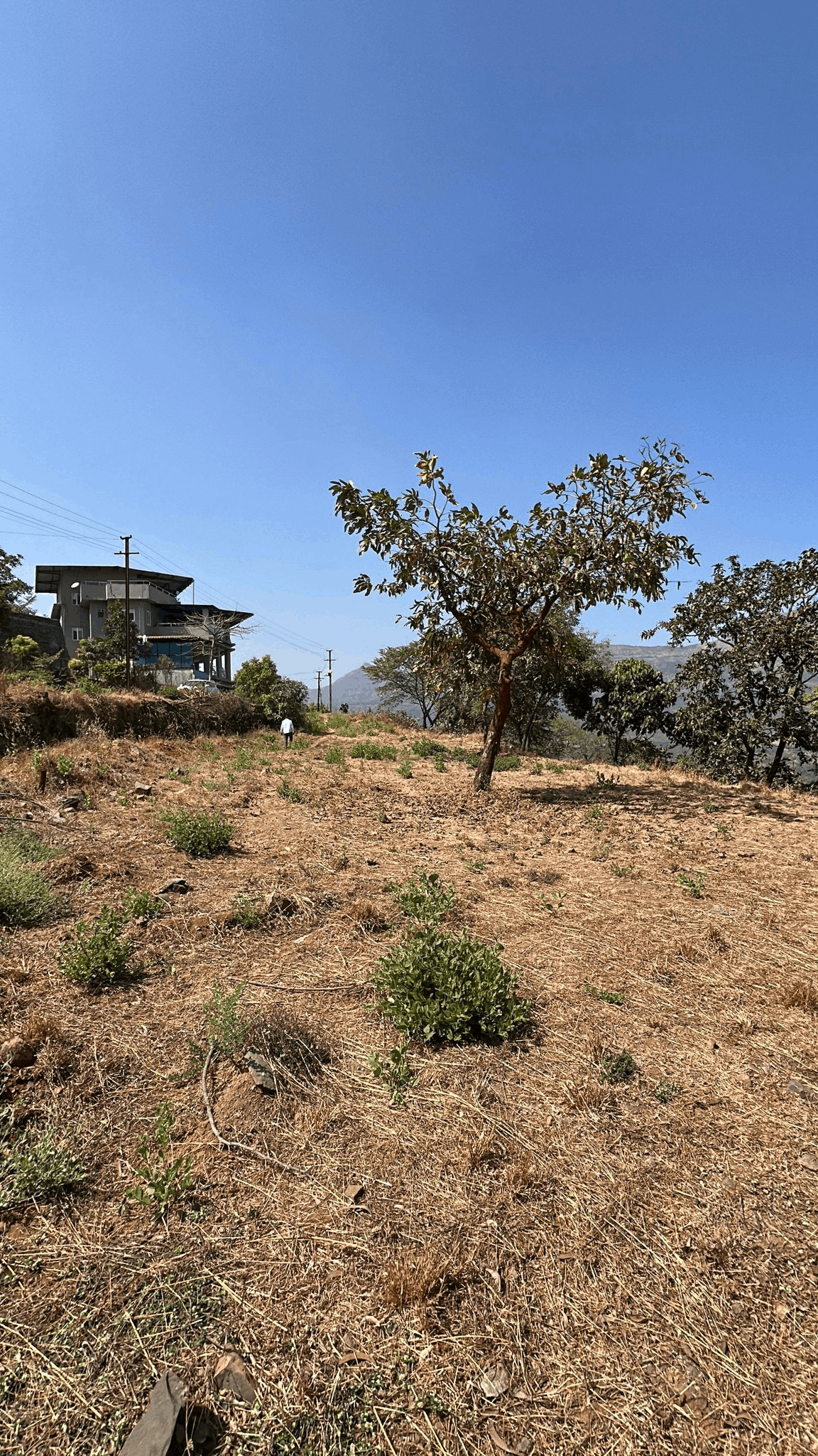 56-farmhouse-plot-0f868325-80b4-4c73-a0aa-f33b768e9b80.png