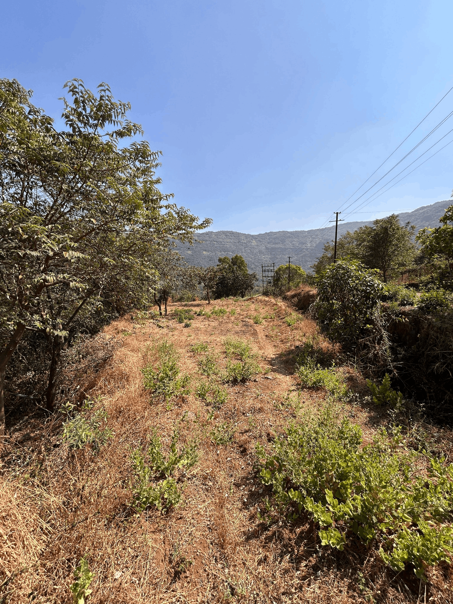 56-farmhouse-plot-e8b9c8e9-8a4c-4908-8591-7fe97d53cc5a.png