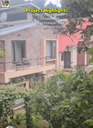 571-bungalow-91ee881e-7840-424d-b47f-506f3171ff6a.png