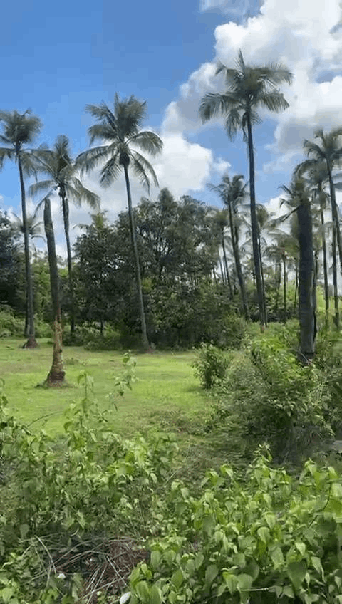 582-agriculture-plot-5b138f1e-17e4-4a30-b801-f571c17af170.png
