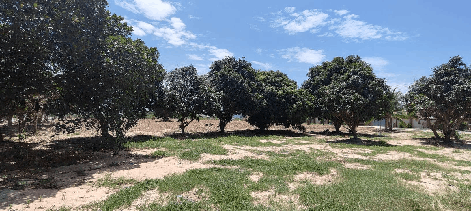 588-agriculture-plot-4c27dbc1-bfe1-45c1-98a4-13fdfb7174a8.png