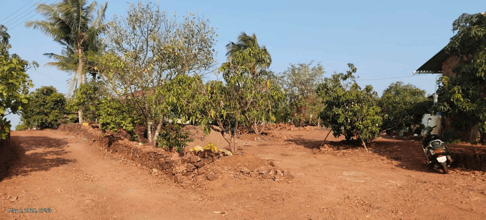 592-agriculture-plot-7efbfc76-62ae-47ae-9082-2a0ccf57eaef.png