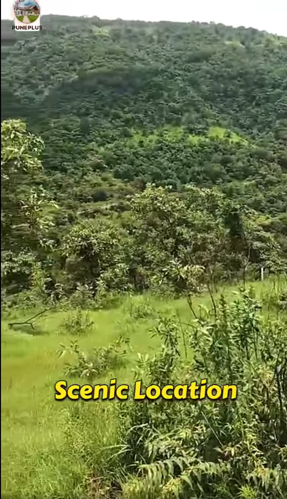 78-agriculture-plot-155dcb1e-1308-491b-aa3b-e0a6f4be0b71.png