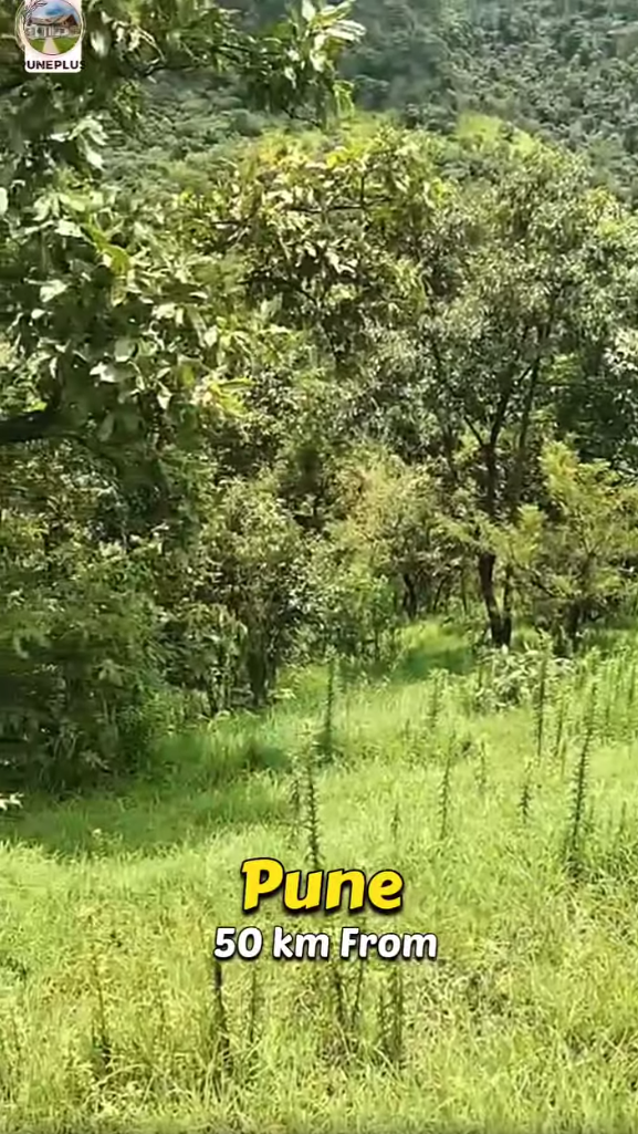 78-agriculture-plot-6383625a-e11a-4df4-9d0a-f1b4b7c14e15.png