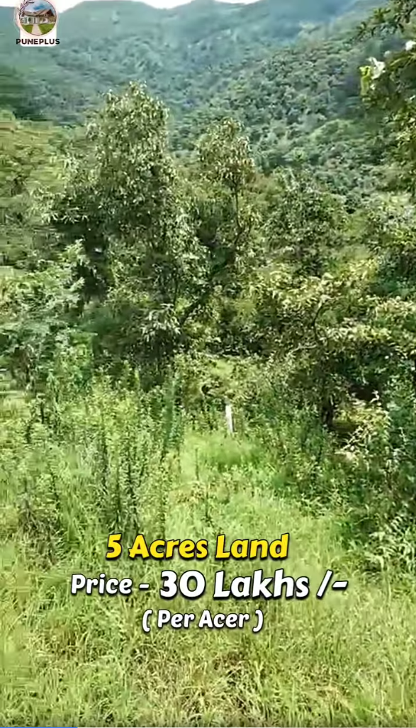 78-agriculture-plot-c5c933c6-eaf7-4b69-9c2f-38d12bcf1c87.png