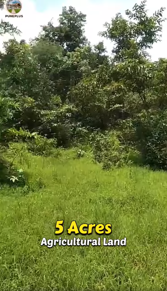 78-agriculture-plot-c8770b52-402a-4596-8bb3-791e46b0391e.png