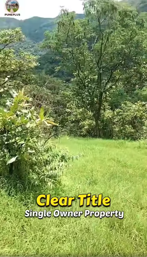 78-agriculture-plot-f50767b2-dc50-4a3c-82cd-b6f53c6ac887.png