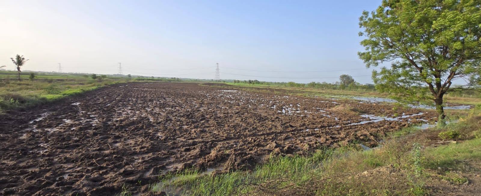 79-agriculture-plot-152f52a4-9be2-4b50-b691-7c7e09cf5b74.jpg