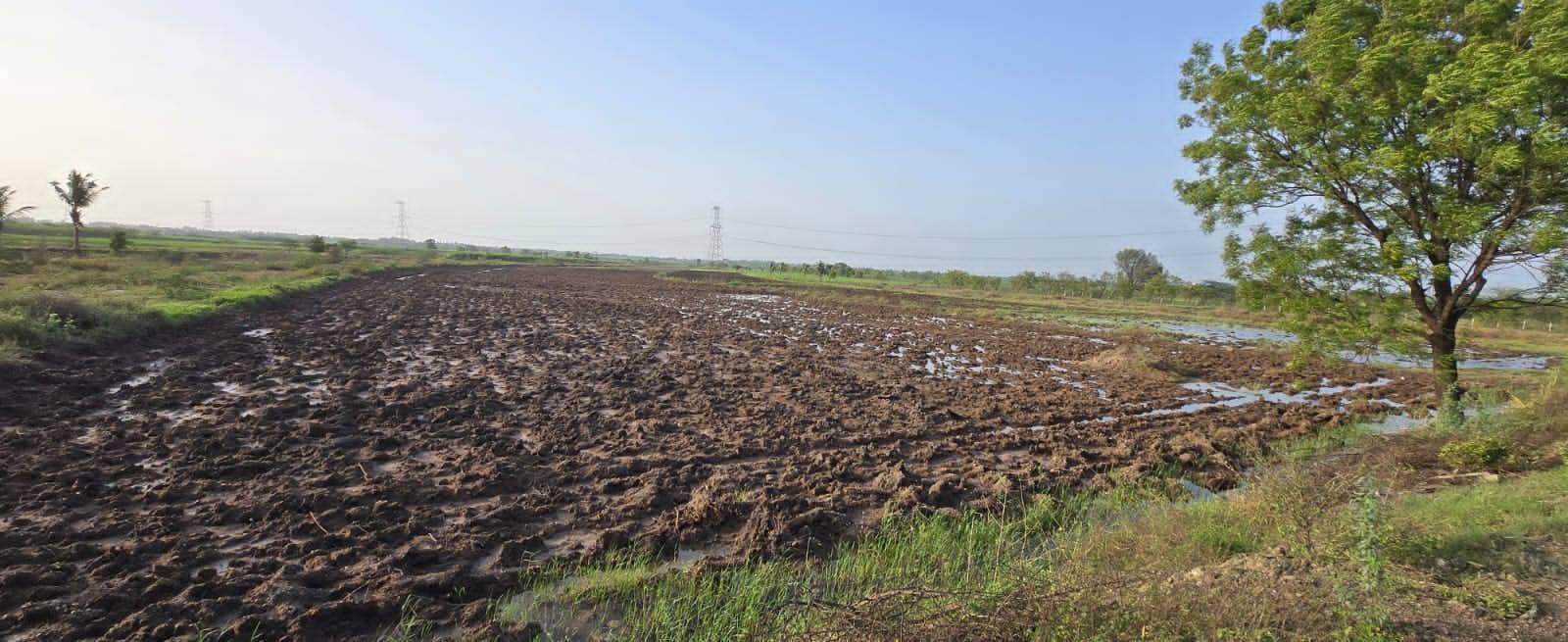 79-agriculture-plot-3311201e-85a6-4dc9-a798-e2043a6aca13.jpg