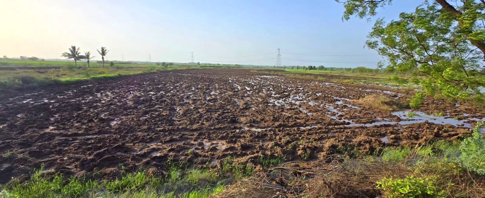 79-agriculture-plot-66c9e895-5b29-4b5b-9588-b26f93cc3fc7.jpg