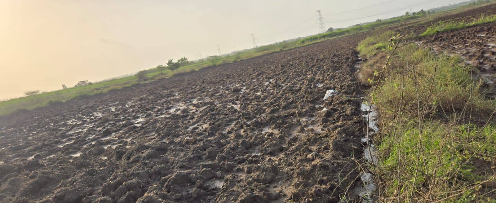 79-agriculture-plot-751b3824-df26-44c5-b353-2f1e71e84c32.jpg