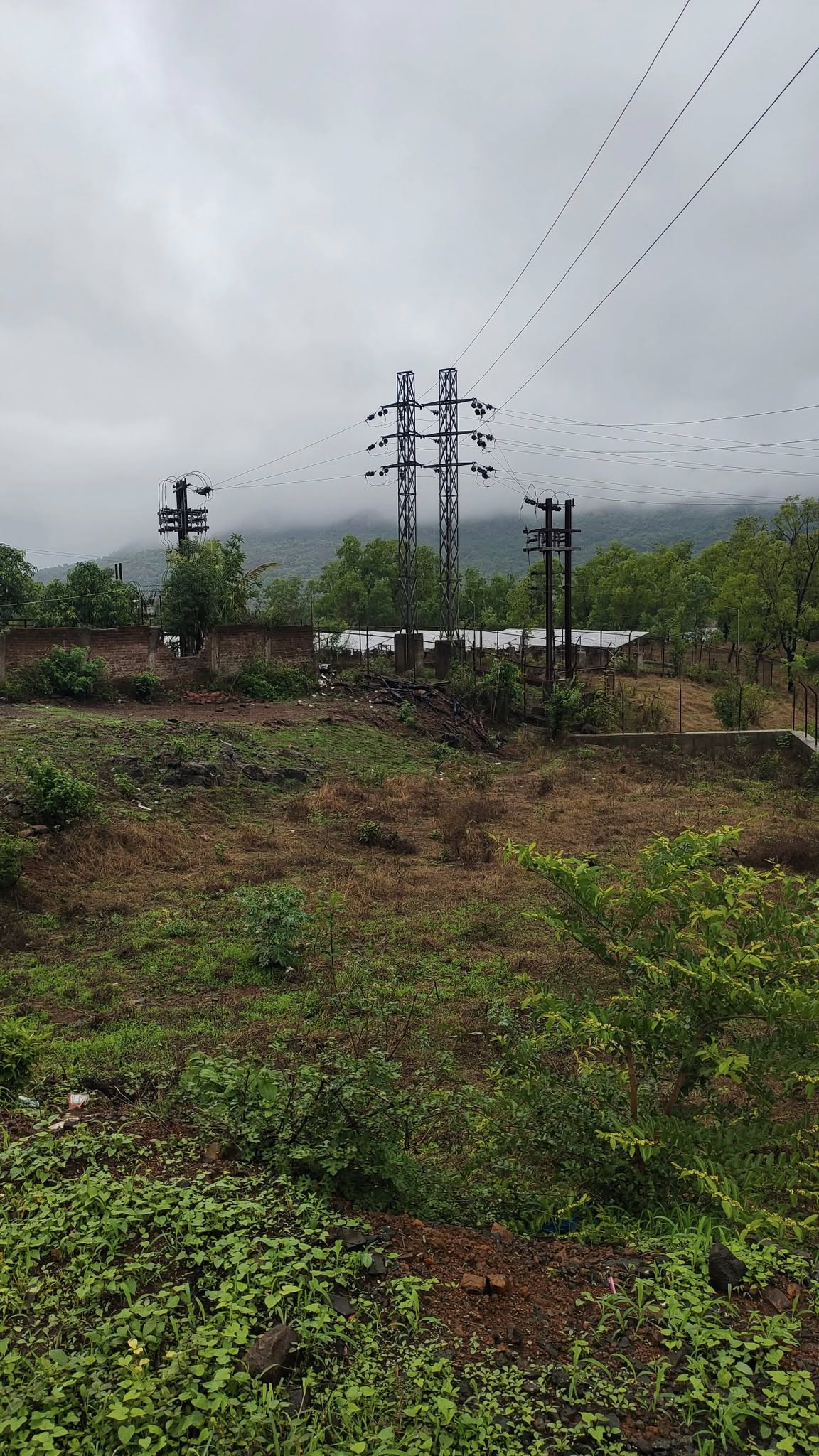 80-agriculture-plot-88d95c80-8a2c-4d01-bfd6-1aca3a9bce9e.jpg