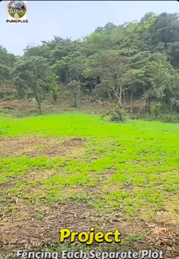 92-agriculture-plot-cd852be5-4fc4-401b-8472-9f954527368c.png