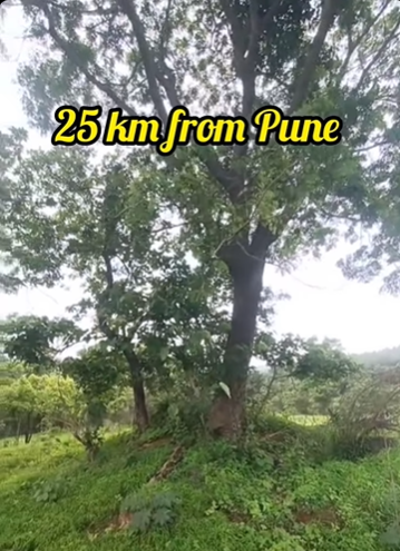 95-agriculture-plot-661742d1-baec-462c-8981-6a3324f7eca9.png