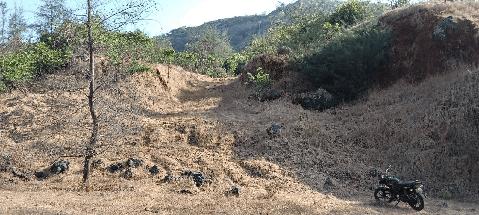 Mulshi-Lavasa - 20 Gunthe Plot for Sale