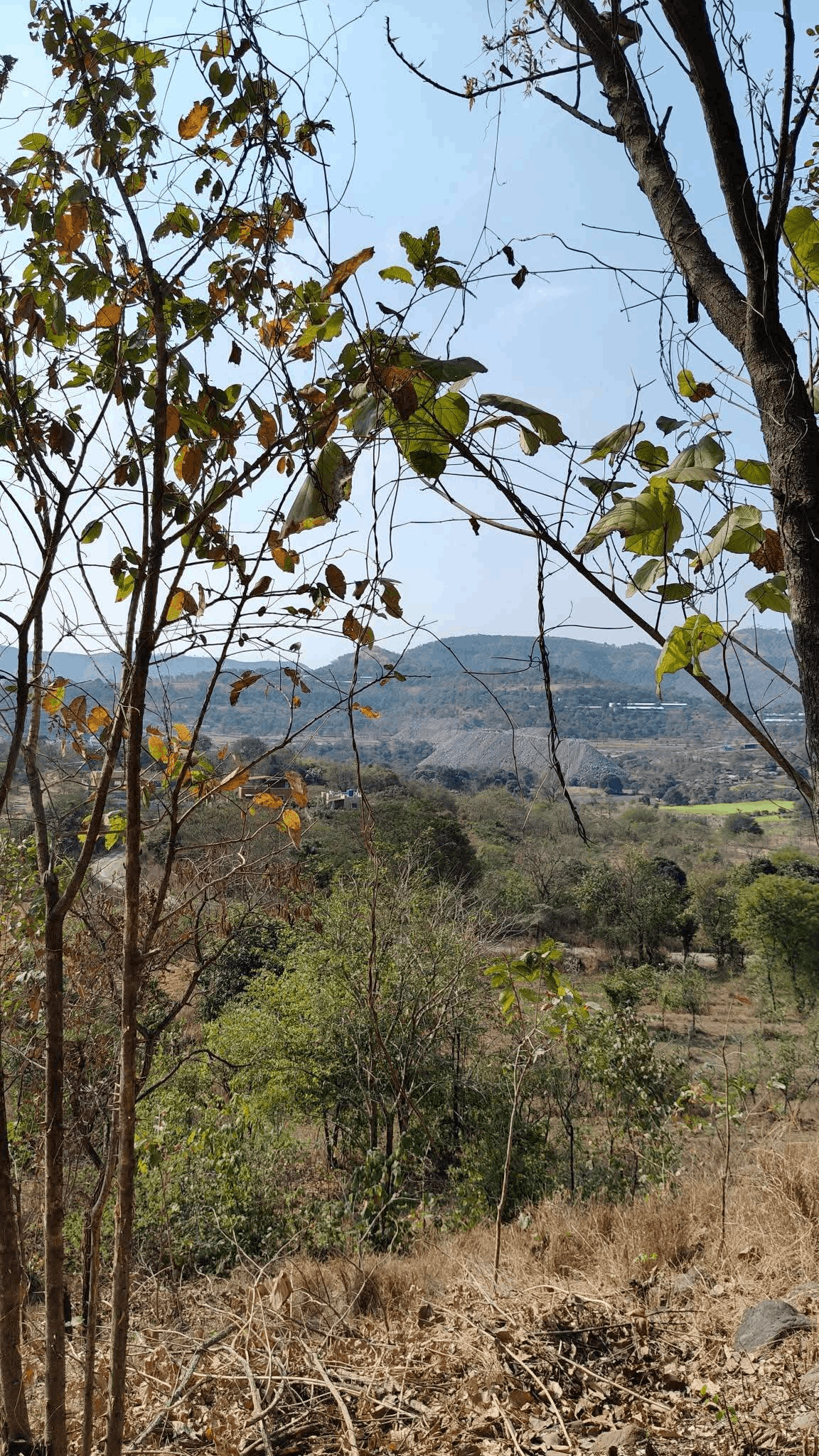 Pune-Mulshi - 15 Acre Agriculture Plot for Sale