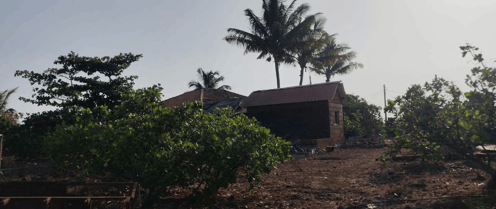 Konkan-Devgad-Achra Road - 2 Acre Wadi with 1200 SQFT House & 1200 SQFT Hall for Sale