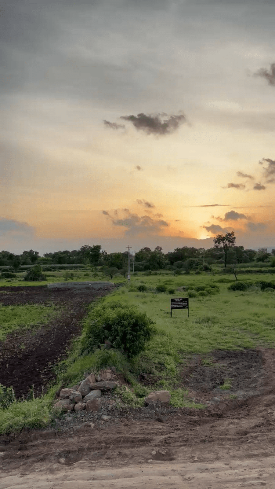 Purandar-Pargaon - 2.5 Acre Agriculture Land for Sale