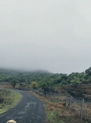 Mulshi-Vadgaon-Nive - 4 Acre Farmland for Sale