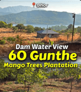 Bhor-Bhatghar Dam Back Water View - 1.5 Acre Farmhouse Plot for Sale