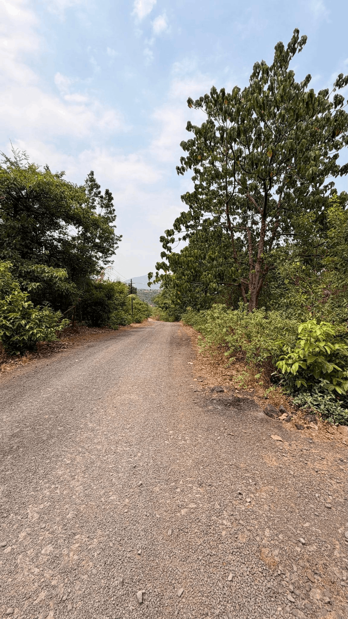 Girivan-Mulshi - 13 Gunthe Farmhouse Plot