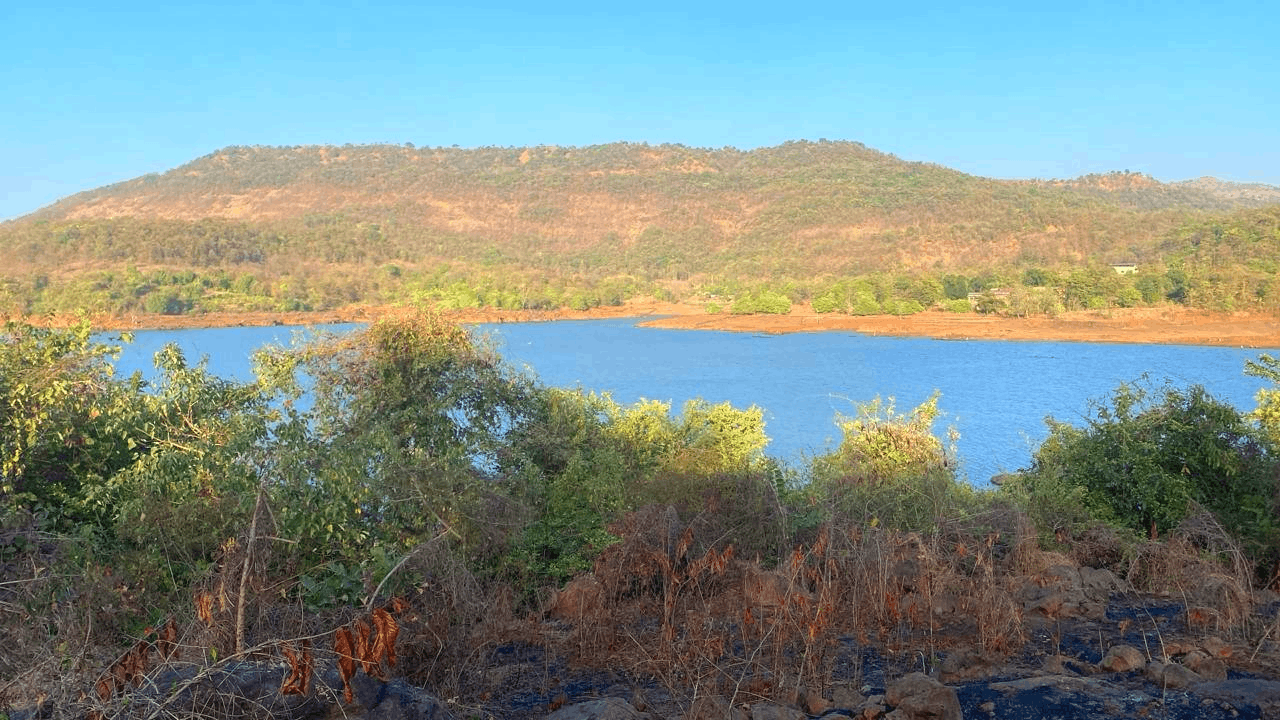 Dapoli-Shirsadi Dam - 3 Acre Watertouch Farmhouse Plot for Sale