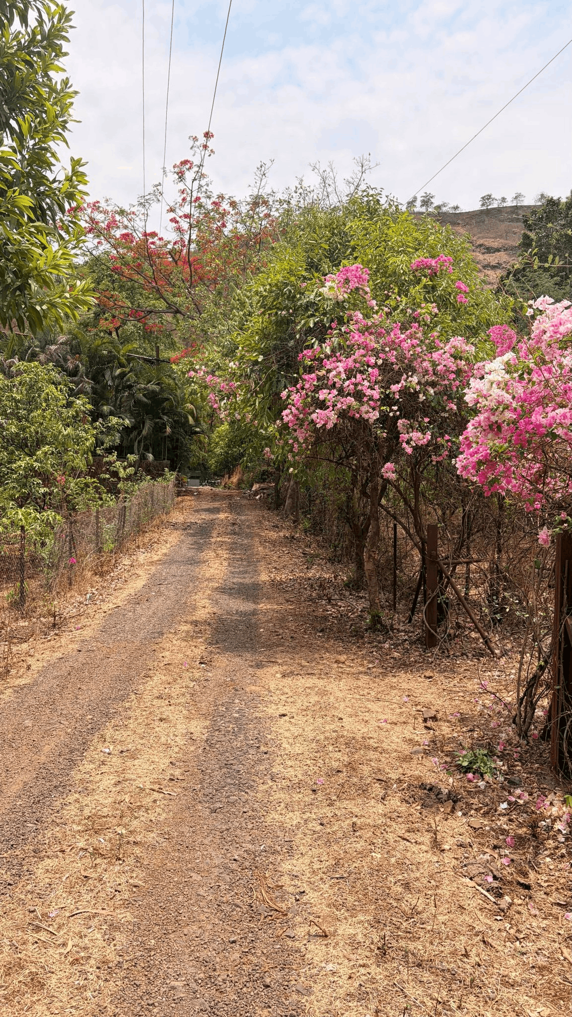 Girivan-Mulshi - 10 Gunthe Farmhouse Plot in a 1500 ++ Acre Project